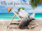 Lire la suite à propos de l’article Cours pendant les vacances de Pâques.