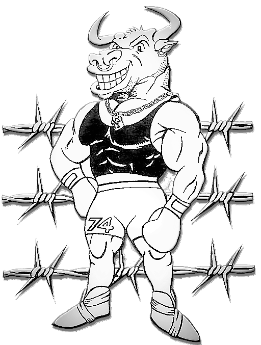 Toro_Logo_la_Roche_FULL_FIGHT détourée copie copie